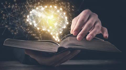 What we lose when reading becomes a niche habit